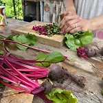 Off-grid Eco Farm Dolinka * Kozelnik