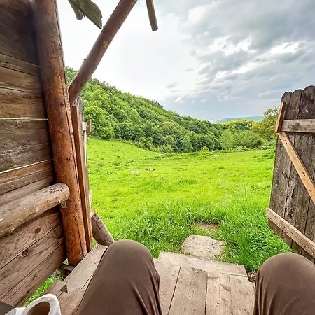 Gospodarstwo agroturystyczne Off-grid Eco Farm Dolinka