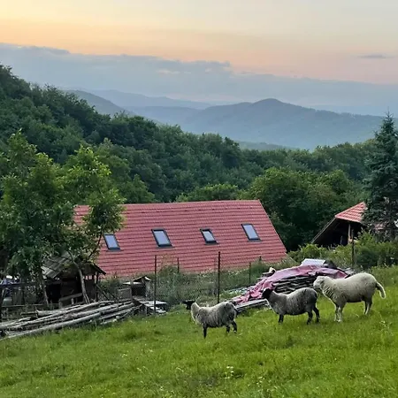 Pobyt na farme Dolinka Off-Grid Eco Farm Kozelnik