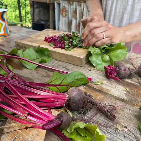 Dolinka Off-Grid Eco Farm * Kozelnik
