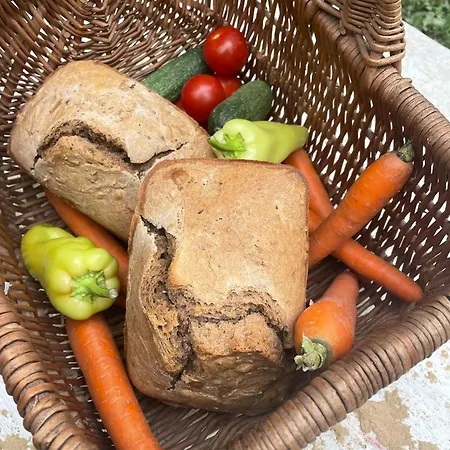 Off-grid Eco Farm Dolinka Agroturismo Kozelnik