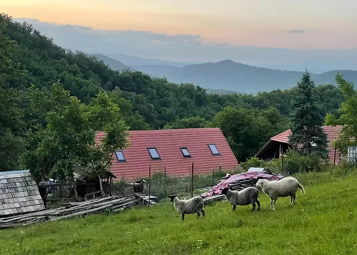 Agroturismo Off-grid Eco Farm Dolinka Kozelnik