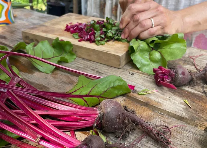 Off-grid Eco Farm Dolinka * Kozelnik